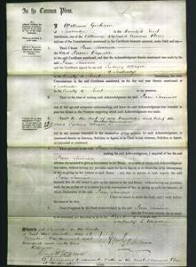 Court of Common Pleas - Jane Laurina Reynolds-Original Ancestry