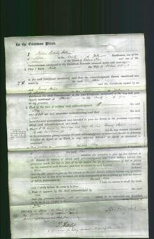 Court of Common Pleas - Alice Ackroyd-Original Ancestry