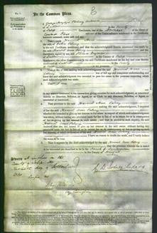 Court of Common Pleas - Harriet Anne Salwey-Original Ancestry