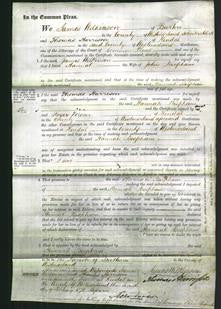 Court of Common Pleas - Hannah Bispham-Original Ancestry