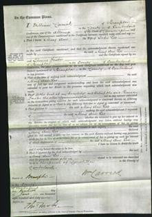 Court of Common Pleas - Mary Ann Lee-Original Ancestry