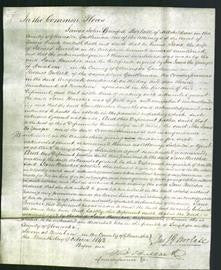 Court of Common Pleas - Jane Burcher-Original Ancestry