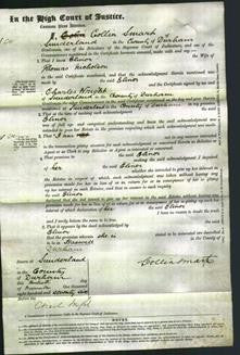 Court of Common Pleas - Elinor Nicholson-Original Ancestry