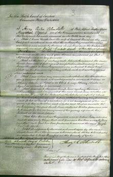 Court of Common Pleas - Sarah Jane Raine-Original Ancestry