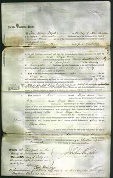 Court of Common Pleas - Eliza Ann Ligoinala-Original Ancestry