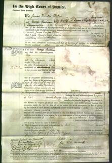 Court of Common Pleas - Mary Jane Jarvis Milne-Original Ancestry