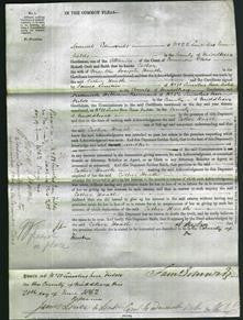 Court of Common Pleas - Esther Hoath-Original Ancestry