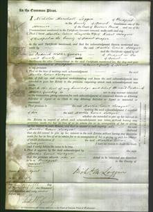 Court of Common Pleas - Martha Ewens Swayne-Original Ancestry