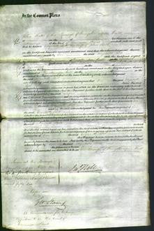 Court of Common Pleas - Elizabeth Bell-Original Ancestry