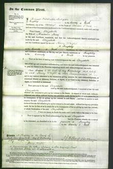 Court of Common Pleas - Elizabeth Berry-Original Ancestry