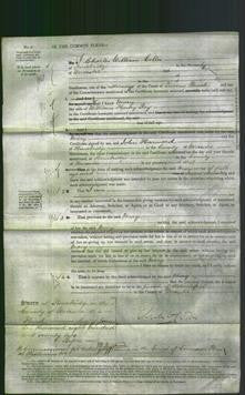 Court of Common Pleas - Mary Ray-Original Ancestry