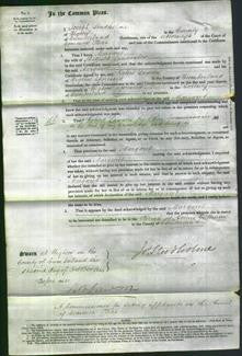 Court of Common Pleas - Margaret Lancaster-Original Ancestry