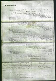 Court of Common Pleas - Arabella Lucinda Parr-Original Ancestry