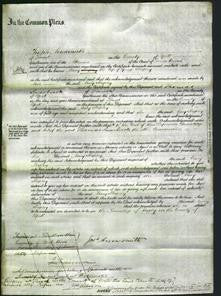 Court of Cmmon Pleas - Mary Shipley-Original Ancestry