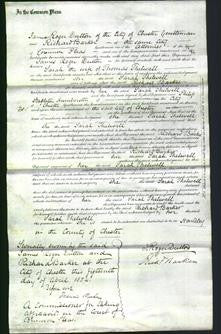 Court of Common Pleas - Sarah Thelwell-Original Ancestry