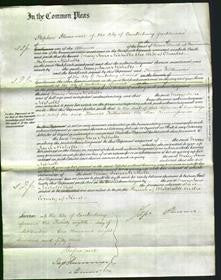 Court of Common Pleas - Mary Jane Nicholls-Original Ancestry