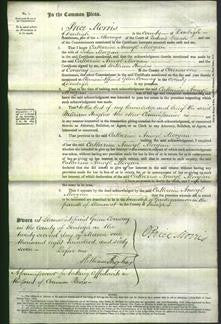 Court of Common Pleas - Catherine Anwyl Morgan-Original Ancestry