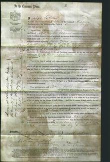 Court of Common Pleas - Antonia Maria Chapman-Original Ancestry