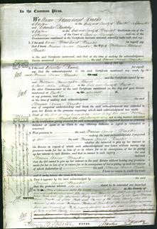 Court of Common Pleas - Maria Anna Baxter-Original Ancestry