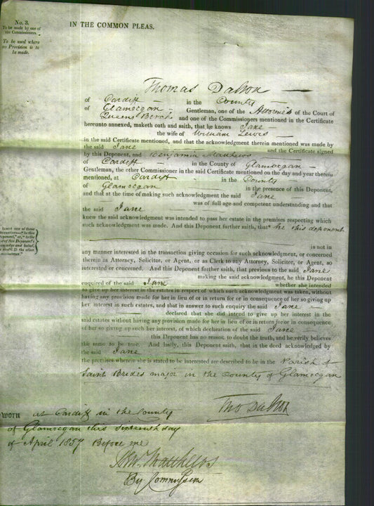 Court of Common Pleas - Jane Lewis