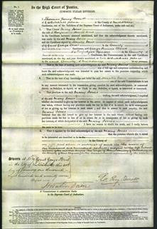 Court of Common Pleas - Mary Jones-Original Ancestry