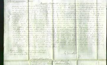 Court of Common Pleas - Ann Burton-Original Ancestry