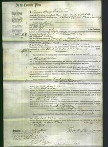 Court of Common Pleas - Sarah Walker and Elizabeth Wilson-Original Ancestry