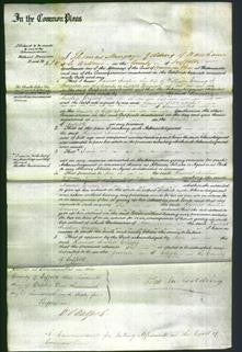 Court of Common Pleas - Harriet Amelia Creasy-Original Ancestry