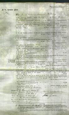 Court of Common Pleas - Jane Cook-Original Ancestry