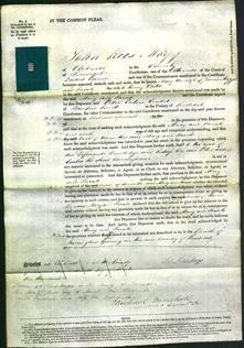 Court of Common Pleas - Mary Maggs, Sarah Watts-Original Ancestry