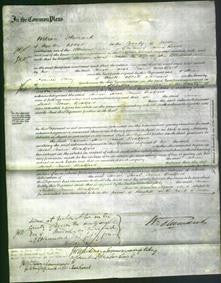 Court of Common Pleas - Tamsin Sarah Louisa Bradford-Original Ancestry