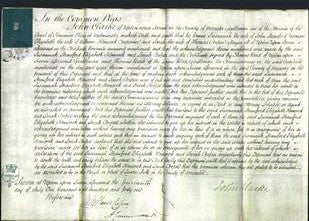 Court of Common Pleas - Susanna Shawford, Elizabeth Hancock and Sarah Cooper-Original Ancestry