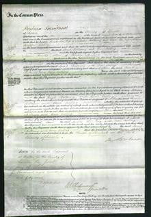 Court of Common Pleas - Sarah Bellamy and Ann Asling-Original Ancestry