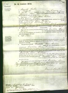 Court of Common Pleas - Matilda Ann Wilson-Original Ancestry