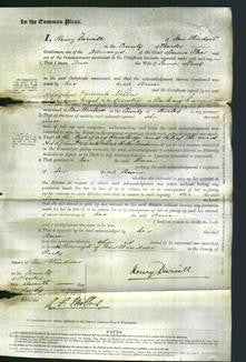 Court of Common Pleas - Ann Slark-Original Ancestry