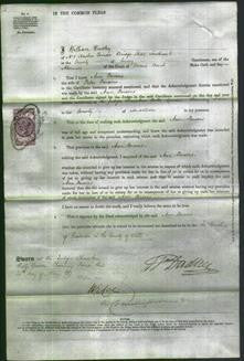 Court of Common Pleas - Ann Parsons-Original Ancestry