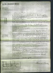 Court of Common Pleas - Elizabeth Adnam-Original Ancestry