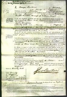 Court of Common Pleas - Harriet Guest and Amelia Matilda Stroyd-Original Ancestry