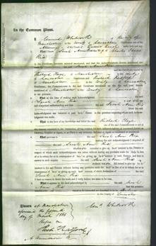 Court of Common Pleas - Sarah Ann Rix-Original Ancestry