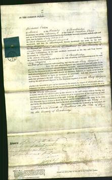 Court of Common Pleas - Lucy Angood-Original Ancestry