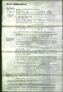 Court of Common Pleas - Elizabeth Berry-Original Ancestry