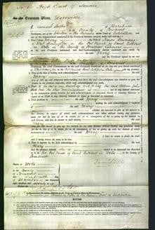 Court of Common Pleas - Mary Simmons-Original Ancestry