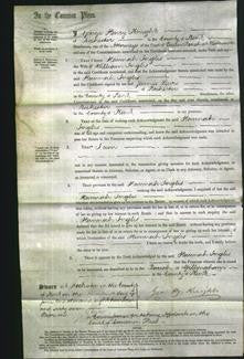 Court of Common Pleas - Hannah Inglis-Original Ancestry