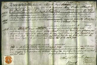 Deed by Married Women - Sarah Jane Raine-Original Ancestry