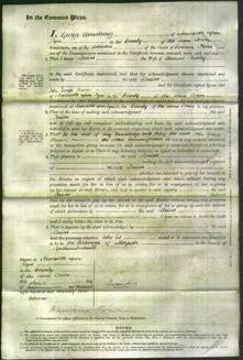 Court of Common Pleas - Louisa Ridley-Original Ancestry