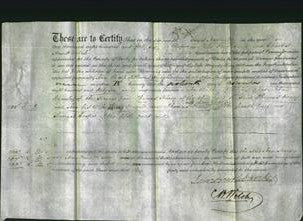 Deed by Married Women - Ann Hardy and Mary Deaville-Original Ancestry