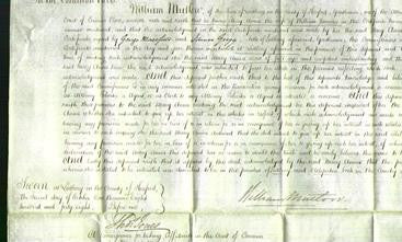 Court of Common Pleas - Mary Anna Jauncey-Original Ancestry