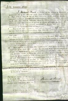 Court of Common Pleas - Ellen Pilkington-Original Ancestry