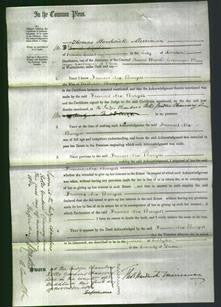 Court of Common Pleas - Frances Nex Burgess-Original Ancestry