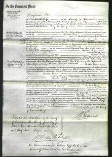 Court of Common Pleas - Mary Jones-Original Ancestry